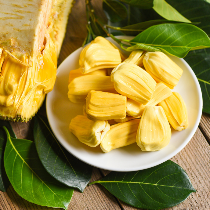 Jackfruit Tree - Jackfruit