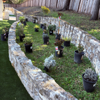 庭院施工前植物摆位与种植位置规划 Garden plant placement and planting layout before installation