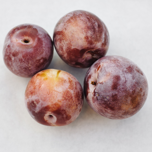 Plum Tree - Dinosaur Egg Plum