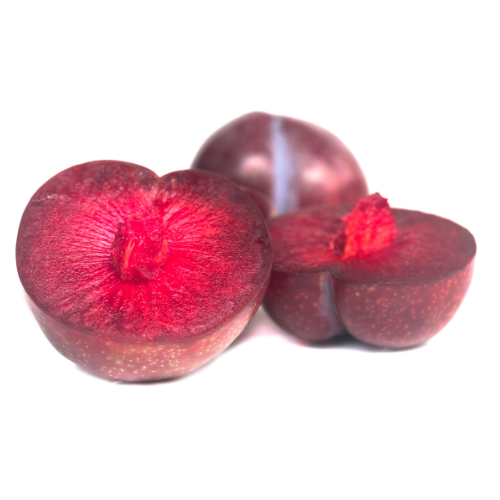 Plum Trees – Burgundy Plum