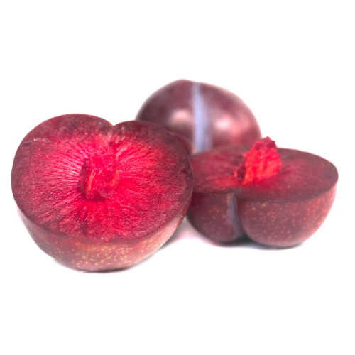 Burgundy Plum