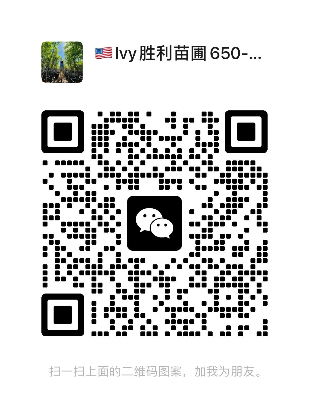 qrcode victory nursery