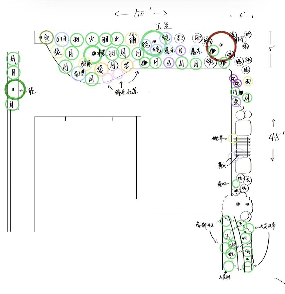住宅庭院植物平面布局图与种植规划 Residential planting plan with trees, shrubs and garden beds