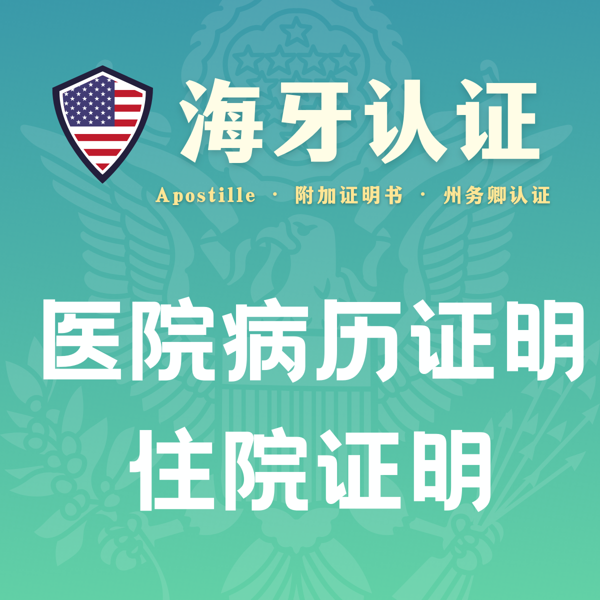 医院病例证明/住院证明/翻译公证件