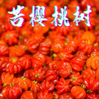 苏里南苦樱桃