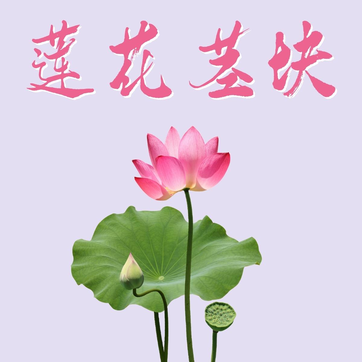 Lotus